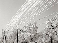 Maksimirska cesta 50-ih godina, kod Hondlove